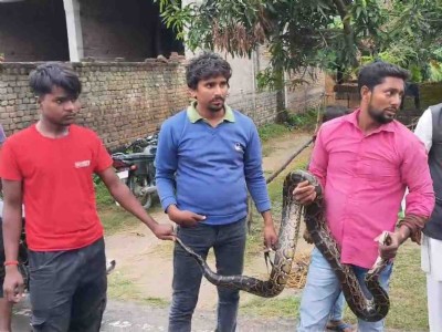 Maharajganj News : घर में घुस आया ख़ामोशी से कुछ ऐसा कि परिवार वालों के उड़े होश