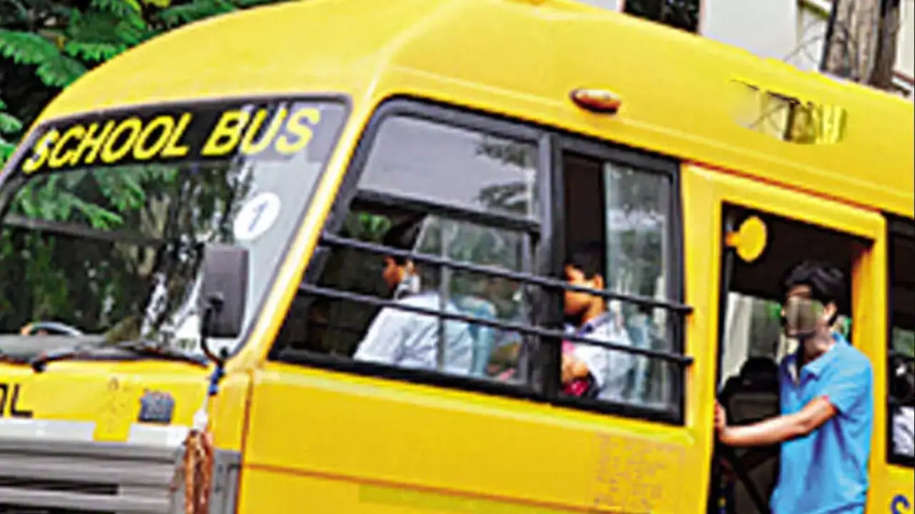 school bus school bus