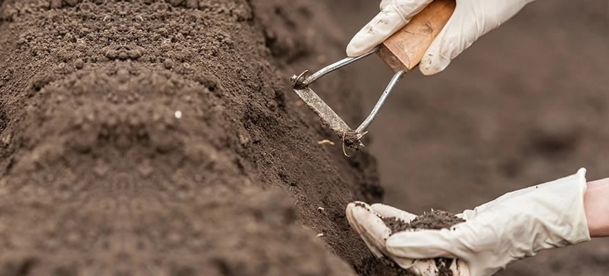 soil testing