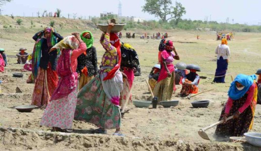 Maharajganj News : अब ग्रुप फोटो से नहीं चलेगा काम! मनरेगा मजदूरों की हाजिरी में आ रहा है बड़ा डिजिटल ट्विस्ट