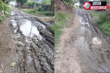 महराजगंज में बड़हरा चरगहा, सीधरीहवा टोल समेत कई गांवों के चकरोड बदहाल