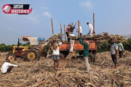गन्ना किसानों का बकाया नहीं चुकाने पर गड़ौरा JHV चीनी मिल को झटका, दूसरी मिलों को भेजा गया गन्ना