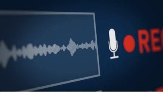 Maharajganj News : सोशल मीडिया पर वायरल एक ऑडियो से मचा बवाल, ग्राम प्रधान गिरफ्तार