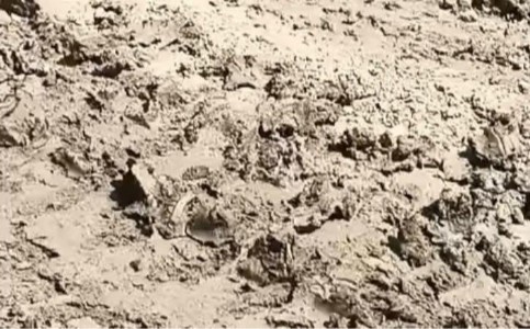 Maharajganj News : रात के अंधेरे में चल रहा था मिट्टी का खेल! पुलिस की दबिश, ट्रैक्टर-ट्रॉली और लोडर सीज