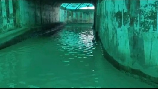 Maharajganj News : अंडरपास बना ‘जलजाल’! हर बारिश में डूबता रास्ता, 7 किमी घूमने को मजबूर ग्रामीण