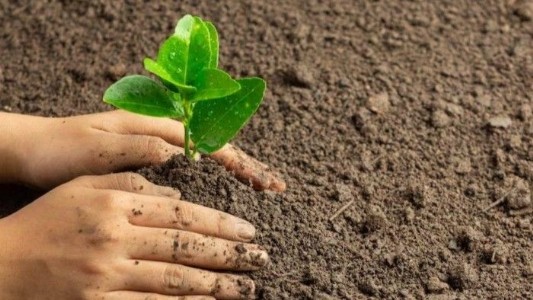 Maharajganj News : महराजगंज में नया ग्रीन प्लान ! थीम बेस्ड पौधरोपण से बदलेगी तस्वीर