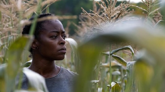 40 Acres On OTT : OTT पर छाई 1 घंटे 53 मिनट की ये फिल्म, मचाया ग्लोबल तहलका!