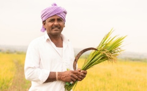 Maharajganj News : फार्मर रजिस्ट्री में ढिलाई पड़ी भारी! 2-2 घंटे में हिसाब मांग रहे अधिकारी