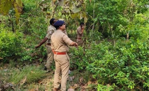 Maharajganj News : जंगल में पेड़ से लटका मिला महिला का शव, इलाके में सनसनी, शुरू हुई जांच