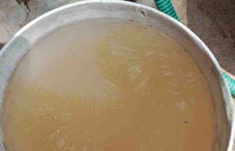 Maharajganj News : टूटी सीढ़ी ने रोकी टंकी की सफाई, हजारों लोग पी रहे दूषित पानी