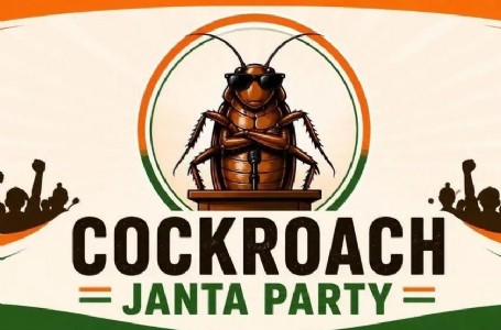 Cockroach Janata Party : जब मीम्स बने विरोध की भाषा, तब जन्म हुआ ‘कॉकरोच आन्दोलन’ का