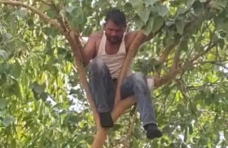 Maharajganj News : फैसले के बाद बेकाबू हुआ युवक, पेड़ पर चढ़कर करने लगा आत्महत्या की बात