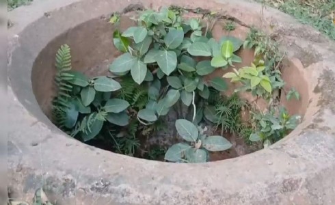 Bawan Kuan History Maharajganj : भारत-नेपाल सीमा के पास दफन है 52 कुओं का रहस्य, आज भी नहीं जानते लोग पूरी कहानी