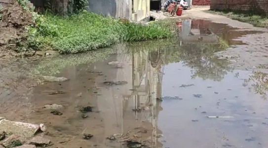 Maharajganj News : सड़क है या गंदगी और गड्ढों का जाल ! क्या यही है स्मार्ट शहर की तस्वीर?