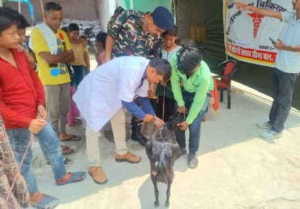 Maharajganj News : मानव और पशु दोनों के लिए स्वास्थ्य सेवा, एसएसबी के शिविर में उमड़ी भीड़