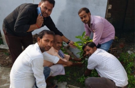 Maharajganj News : पर्यावरण बचाने की पहल, सिसवा में भाजपा नेताओं ने किया पौधरोपण