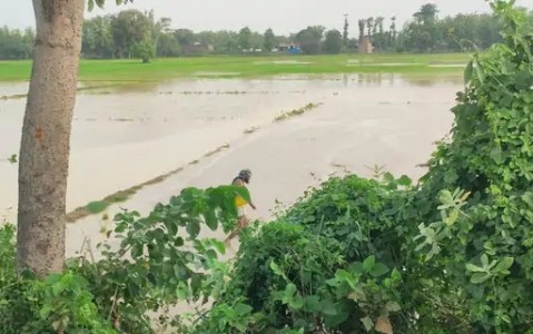 Maharajganj News : 13 साल, 30 बार टूटा तटबंध... आखिर हर साल कहां बह जाते हैं करोड़ों?