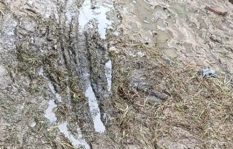 Maharajganj News : टेंडर हो गया फिर भी अधूरी सड़क-नाली ने बढ़ाई मुसीबत, बारिश में जलभराव से वार्डवासी परेशान