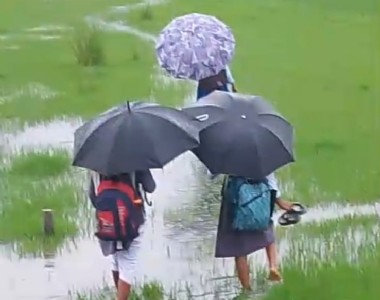 Maharajganj News : स्कूल जाने से पहले दो बार सोचते हैं सक्सेना नगर वार्ड नंबर 24 के बच्चे ! वजह जानना चाहेंगे ?