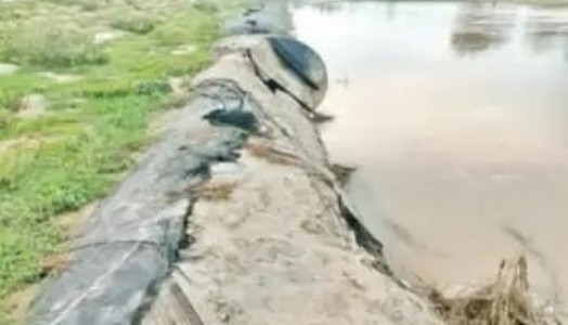 Maharajganj News : बाढ़ से पहले ही फेल हुई सुरक्षा! रोहिन नदी किनारे फटे जियोट्यूब