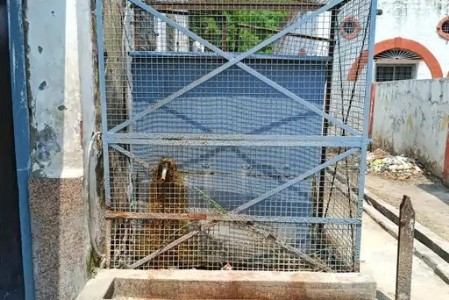 Maharajganj News : टूटी टोटियां, बंद स्टैंड पोस्ट... सिसवा स्टेशन की बदहाल पेयजल व्यवस्था