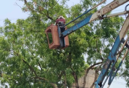 Maharajganj News : सिसवा नगर को बिजली की बड़ी सौगात! अब ग्रामीण नहीं, नगर फीडर से मिलेगी निर्बाध आपूर्ति