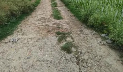 Maharajganj News : गड्ढों में सड़क ही गुम हो गयी, ग्रामीण रोज झेल रहे परेशानी