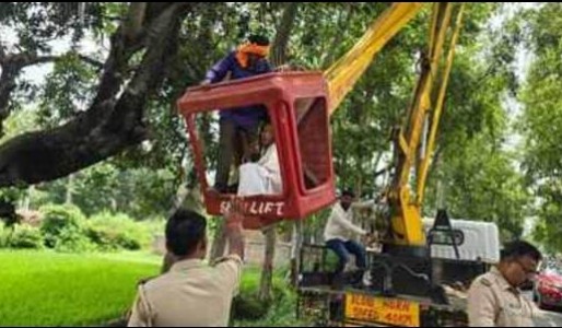 Maharajganj News : अचानक आम के पेड़ पर चढ़ गई नेपाली महिला... फिर जो हुआ, बुलानी पड़ी क्रेन