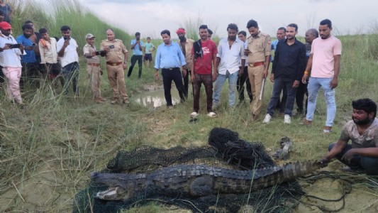 Maharajganj News : कभी बाजार में दिखा, कभी हुआ गायब ! 24 घंटे बाद ऐसे पकड़ा गया 'उर्वशी'