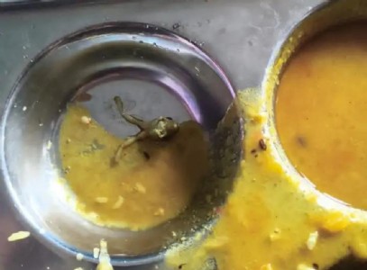 Maharajganj News : नवोदय विद्यालय की थाली में मिला मरा मेंढक, दाल देखते ही छात्रों ने छोड़ा खाना