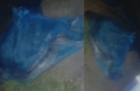 Maharajganj News: बेलवा बुजुर्ग में जाल में फंसा 10 फीट लंबा अजगर, ग्रामीणों में हड़कंप