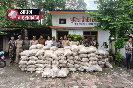 Maharajganj News: महराजगंज में SSB-पुलिस की कार्रवाई, 119 बोरा चाइनीज लहसुन बरामद; एक गिरफ्तार