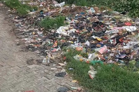 Maharajganj News: महराजगंज के पानेवा पनेई में कूड़े के ढेर से ग्रामीण परेशान, सफाई व्यवस्था पर उठे सवाल